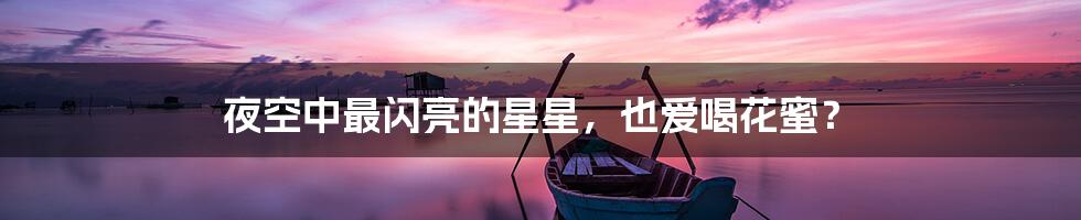 夜空中最闪亮的星星，也爱喝花蜜？