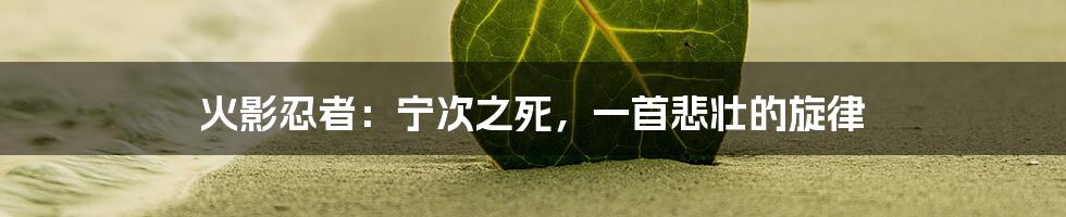 火影忍者:宁次之死,一首悲壮的旋律