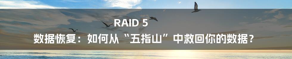 RAID 5 数据恢复:如何从“五指山”中救回你的数据?