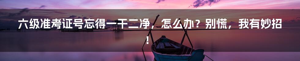 六级准考证号忘得一干二净,怎么办?别慌,我有妙招!