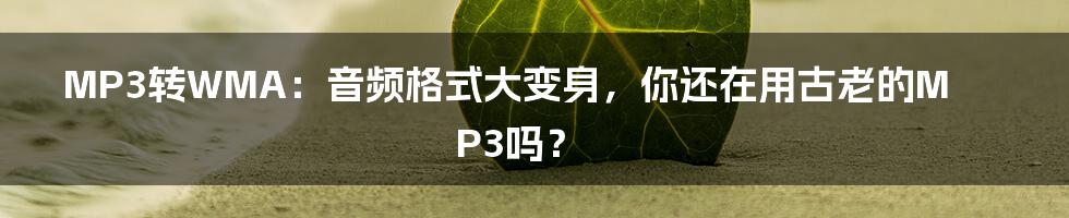 MP3转WMA:音频格式大变身,你还在用古老的MP3吗?