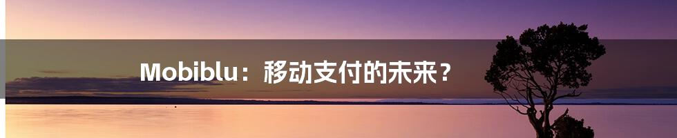 Mobiblu:移动支付的未来?