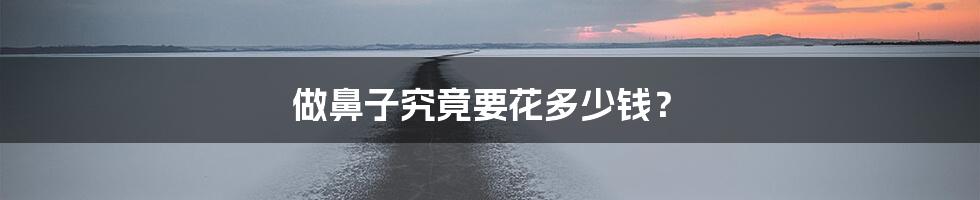 做鼻子究竟要花多少钱?