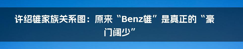 许绍雄家族关系图:原来“Benz雄”是真正的“豪门阔少”