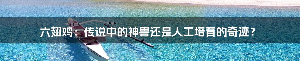 六翅鸡:传说中的神兽还是人工培育的奇迹?