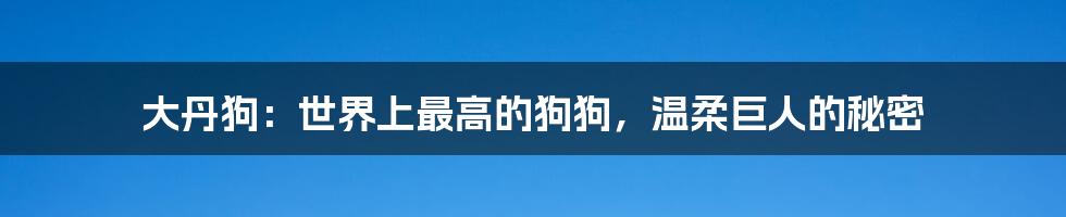 大丹狗:世界上最高的狗狗,温柔巨人的秘密