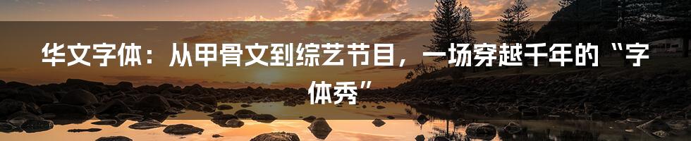 华文字体:从甲骨文到综艺节目,一场穿越千年的“字体秀”