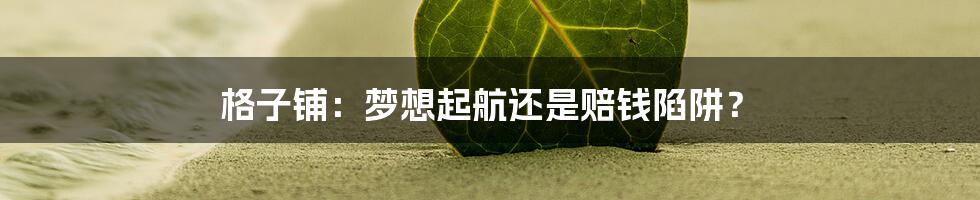 格子铺：梦想起航还是赔钱陷阱？