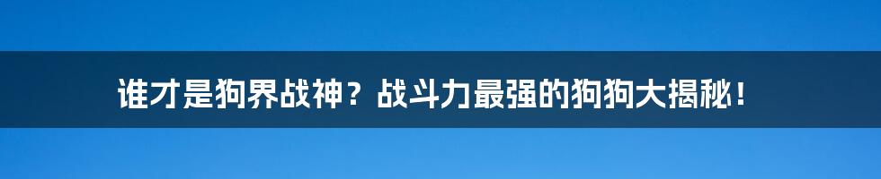 谁才是狗界战神?战斗力最强的狗狗大揭秘!