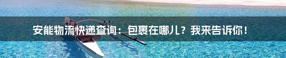 安能物流快递查询:包裹在哪儿?我来告诉你!