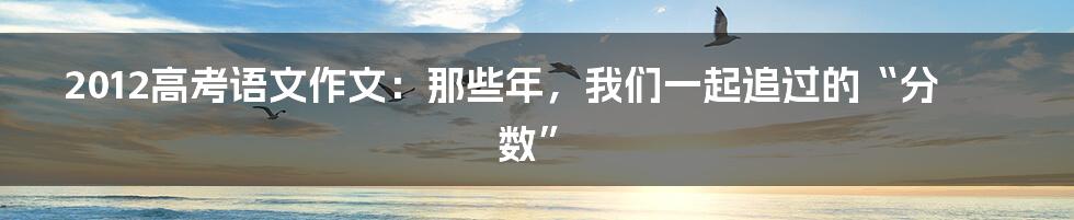 2012高考语文作文:那些年,我们一起追过的“分数”