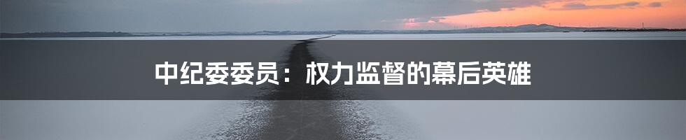 中纪委委员：权力监督的幕后英雄