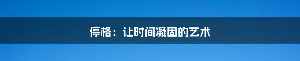 停格:让时间凝固的艺术