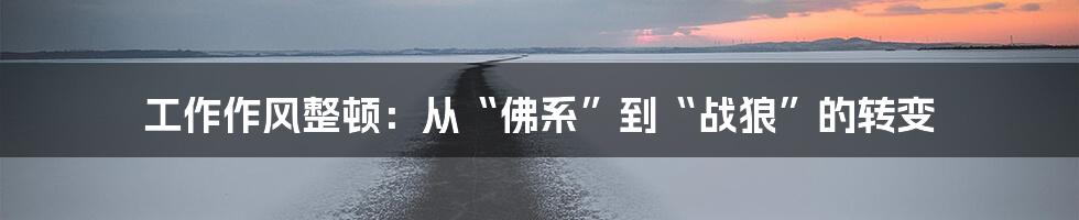 工作作风整顿:从“佛系”到“战狼”的转变