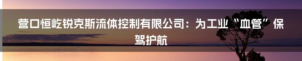 营口恒屹锐克斯流体控制有限公司:为工业“血管”保驾护航