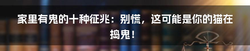 家里有鬼的十种征兆:别慌,这可能是你的猫在捣鬼!