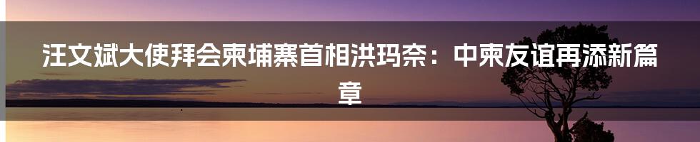 汪文斌大使拜会柬埔寨首相洪玛奈:中柬友谊再添新篇章