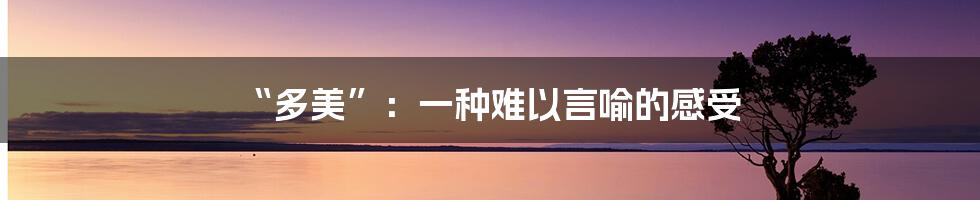 “多美”:一种难以言喻的感受