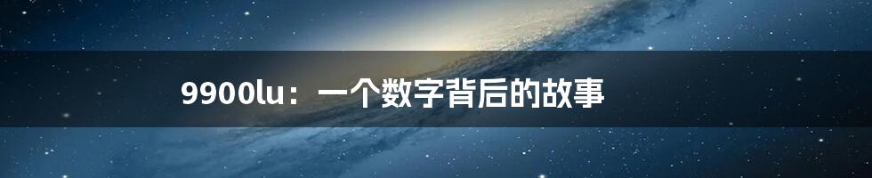 9900lu:一个数字背后的故事