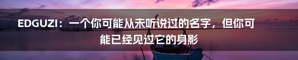 EDGUZI：一个你可能从未听说过的名字，但你可能已经见过它的身影