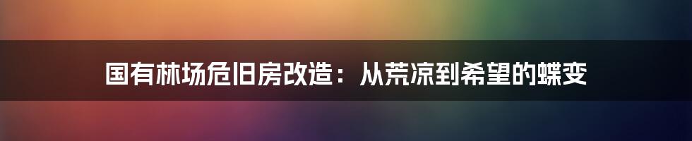 国有林场危旧房改造:从荒凉到希望的蝶变