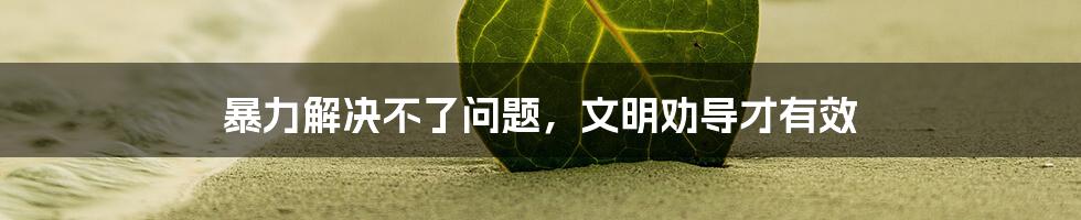 暴力解决不了问题,文明劝导才有效
