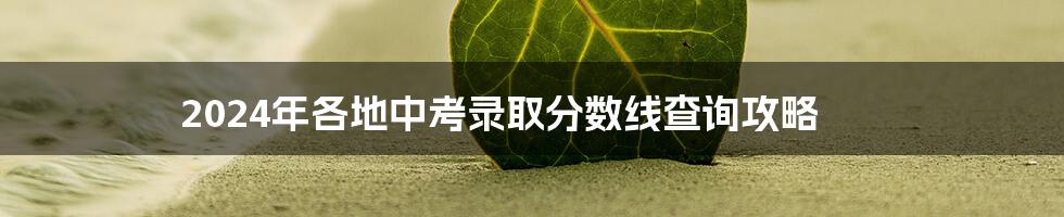 2024年各地中考录取分数线查询攻略
