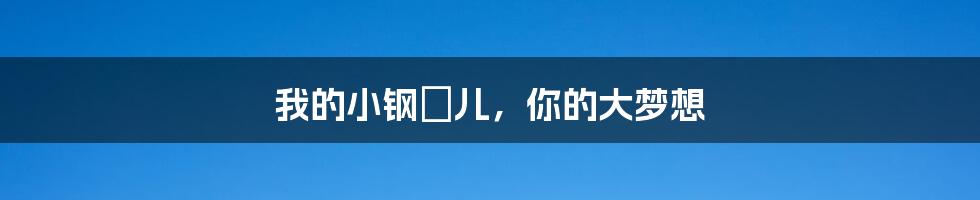我的小钢镚儿，你的大梦想