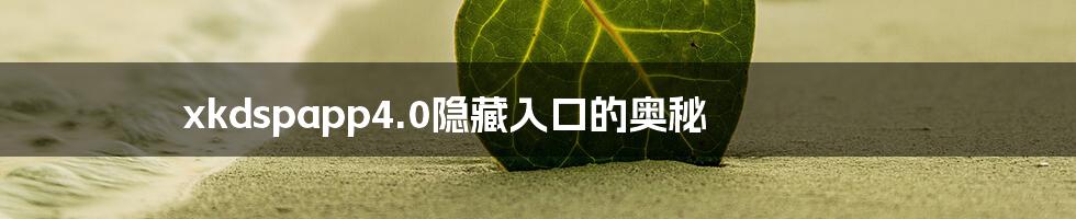 xkdspapp4.0隐藏入口的奥秘