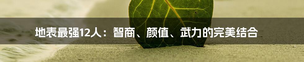 地表最强12人：智商、颜值、武力的完美结合