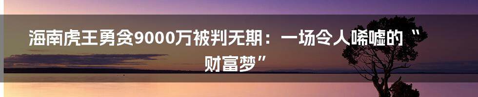 海南虎王勇贪9000万被判无期：一场令人唏嘘的“财富梦”