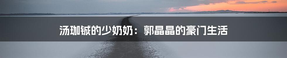 汤珈铖的少奶奶:郭晶晶的豪门生活