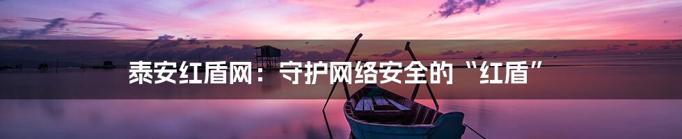 泰安红盾网:守护网络安全的“红盾”