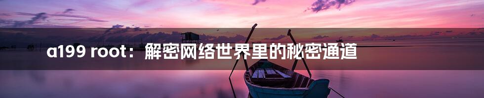 a199 root:解密网络世界里的秘密通道