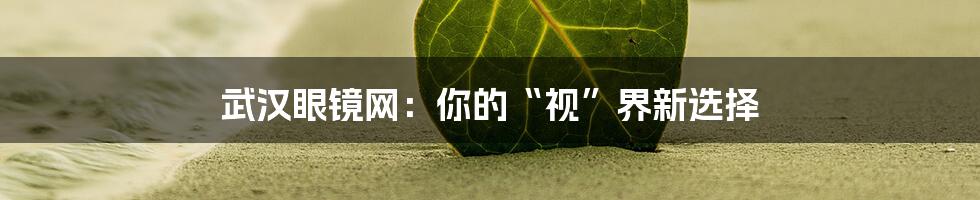 武汉眼镜网:你的“视”界新选择