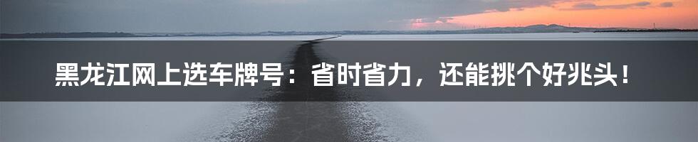黑龙江网上选车牌号:省时省力,还能挑个好兆头!