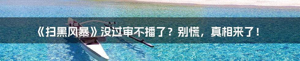 《扫黑风暴》没过审不播了?别慌,真相来了!