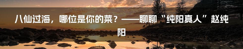 八仙过海，哪位是你的菜？——聊聊“纯阳真人”赵纯阳