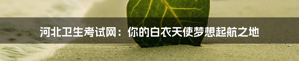 河北卫生考试网:你的白衣天使梦想起航之地