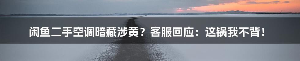 闲鱼二手空调暗藏涉黄?客服回应:这锅我不背!