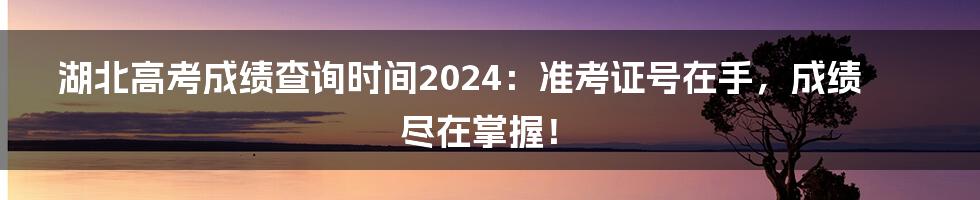 湖北高考成绩查询时间2024：准考证号在手，成绩尽在掌握！