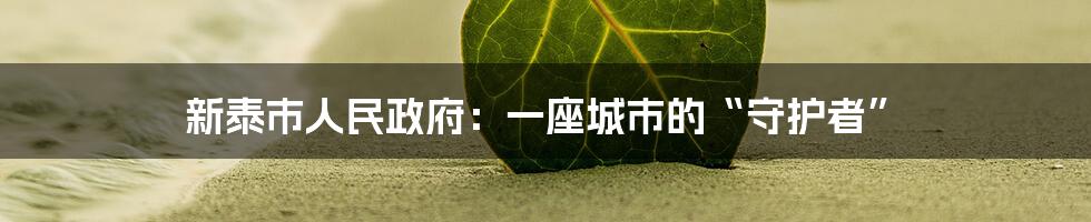 新泰市人民政府:一座城市的“守护者”