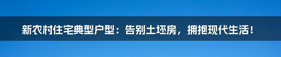 新农村住宅典型户型:告别土坯房,拥抱现代生活!