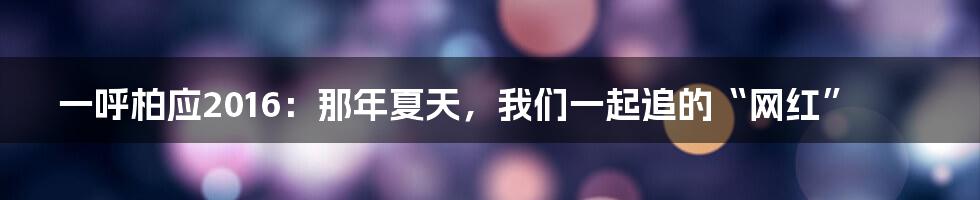一呼柏应2016:那年夏天,我们一起追的“网红”