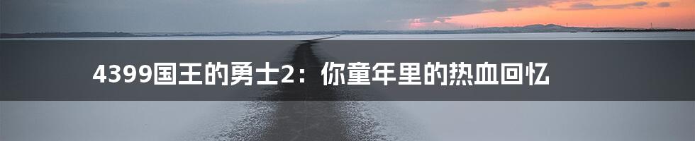 4399国王的勇士2:你童年里的热血回忆