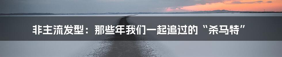 非主流发型:那些年我们一起追过的“杀马特”