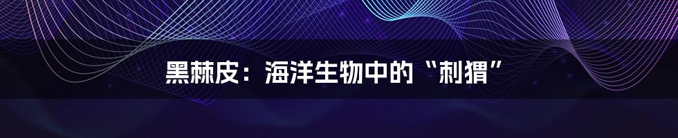 黑棘皮:海洋生物中的“刺猬”