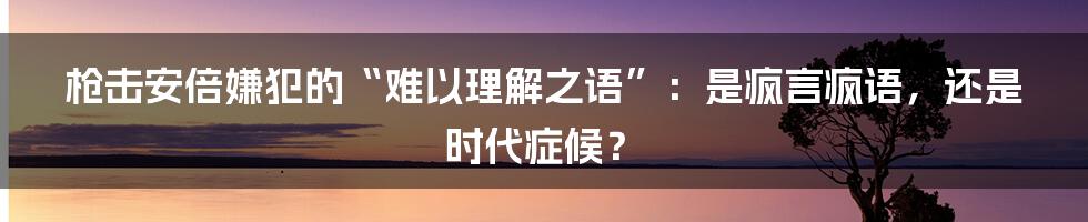 枪击安倍嫌犯的“难以理解之语”:是疯言疯语,还是时代症候?