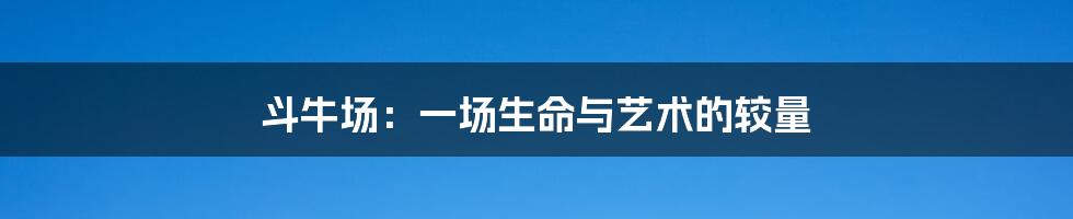 斗牛场:一场生命与艺术的较量