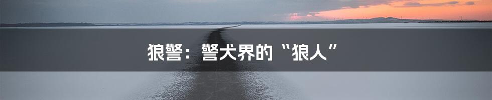 狼警:警犬界的“狼人”